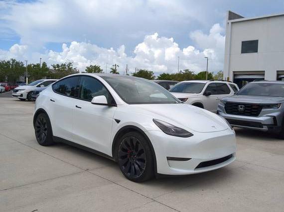 TESLA MODEL Y 2022 7SAYGDEF5NF325452 image